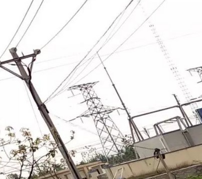 看看這些電力人的春季巡檢！