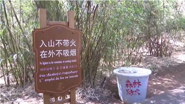 贊！雞足山景區(qū)連續(xù)35年無森林火災(zāi)，因?yàn)樗麄?..